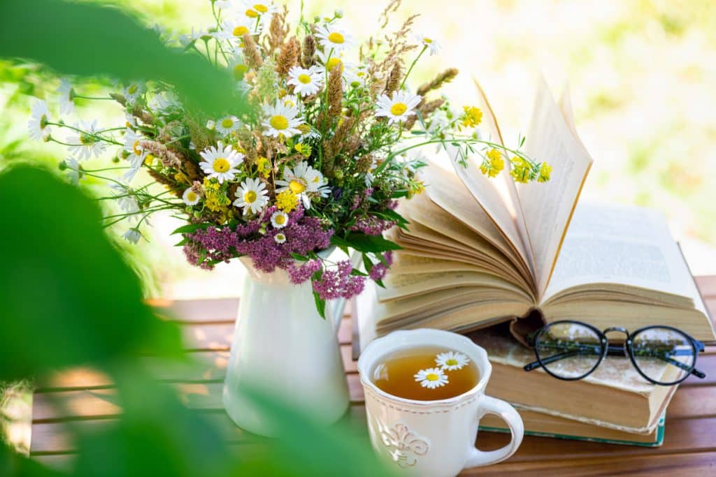 Prix d&rsquo;une séance de naturopathie et remboursement : le guide complet